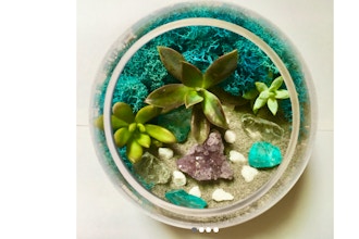 Plant Nite: Succulent Terrarium w/ Amethyst Crystal...